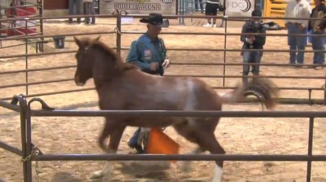 2016 Colt Starting Challenge USA Day 1