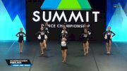 ACE CHEERDANCE ACADEMY - Fabulous [2025 Junior - Pom - Small Finals] 2025 The Dance Summit