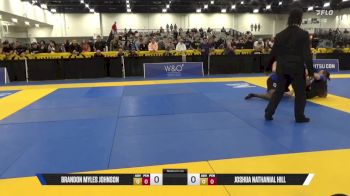 Joshua Nathanial Hill vs Brandon Myles Johnson 2025 World IBJJF Jiu-Jitsu No-Gi Championship