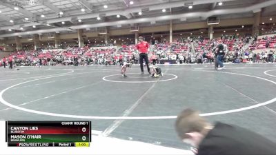 46 lbs Champ. Round 1 - Mason O`Hair, Brawlers vs Canyon Lies, Bluestem