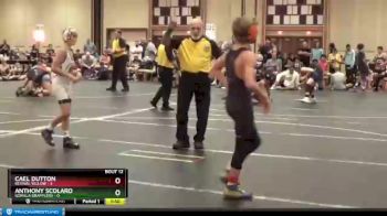 85 lbs Finals (8 Team) - Anthony Scolaro, Gorilla Grapplers vs Cael Dutton, Revival Yellow