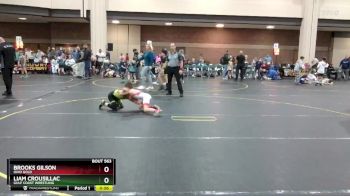 65 lbs 3rd Place Match - Brooks Gilson, Ohio Gold vs Liam Crousillac, Gulf Coast Wrestling