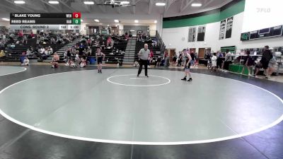 88 lbs Cons. Round 3 - Blake Young, Wentzville vs Reed Reams, Immortal Athletics WC