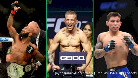 TJ Dillashaw, Ray Borg: Who Should UFC Champ Demetrious Johnson Face Next?