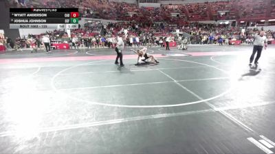 125 lbs Cons. Round 4 - Wyatt Anderson, Cadott vs Joshua Johnson, Saint Croix Falls
