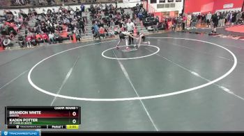 106 lbs Champ. Round 1 - Brandon White, DAKOTA vs Kaden Potter, St. Charles (EAST)
