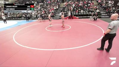 5A 175 lbs 3rd Place Match - Levi Birch, Maple Mountain vs Lisiate Valeti, Springville