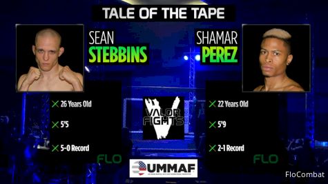 Sean Stebbins vs Shamar Perez: 2017 UMMAF Replay