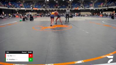 105 lbs Cons. Round 4 - Carlly Ho, Rochester vs Catalina Videlka, Buffalo Grove