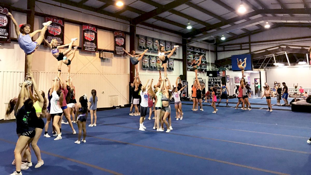 Stars Vipers Reveal 2017-2018 Teams!