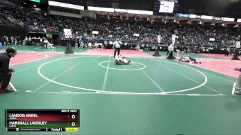 134 lbs Semifinal - Landon Andel, AWRA vs Marshall Laishley, CAM2