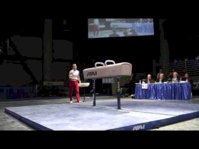 Paul Hamm - Pommel Horse - 2012 Winter Cup Prelims