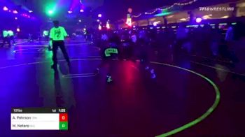 101 lbs Quarterfinal - Aubrie Pehrson, The Best Wrestler vs Mileena Notaro, Team CES