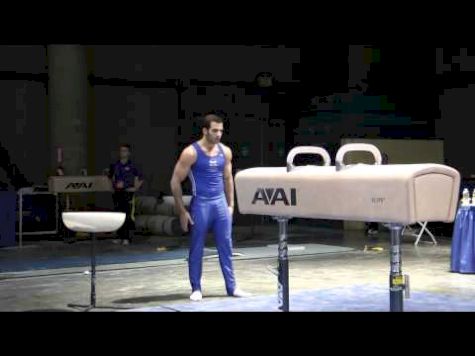 Danell Leyva - Pommel Horse - 2012 Winter Cup Prelims