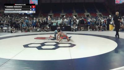 113 lbs Champ. Rd Of 64 - Dominic DeMarco, Illinois vs Anderson Osgood, Iowa