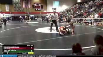 126 lbs Cons. Round 5 - Cameron Kendall, Star Valley vs Tristan Haley, Pinedale