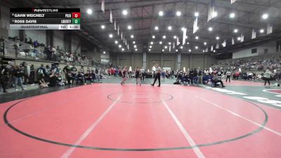 150 lbs Quarterfinal - Ross Davis, Liberty vs Gavin Weichelt, Pine Creek