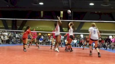 Rising Star: TAV 2021 Setter Ashley Le