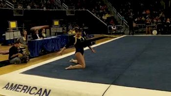 Michigan (Joanna Sampson) - 9.825