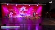 Dance Dynamics - Youth Elite Large Lyrical [2025 Youth - Premier - Contemporary/Lyrical - Large Day 1] 2025 NDA Houston Regional