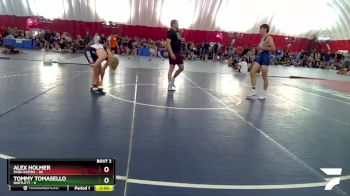 157 lbs Round 1 (10 Team) - Tommy Tomasello, Bartlett vs Alex Holmer, Park Rapids