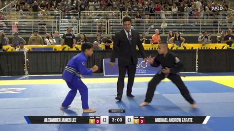 Michael Andrew Zarate vs Alexander James Lee 2025 Pan Kids Jiu-Jitsu IBJJF Championship