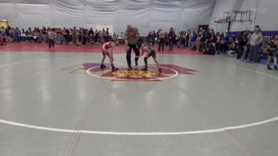 66 lbs Consi Of 8 #2 - Michael Maney, Bellefonte vs Stephen Slebodnik, Rostraver Twp