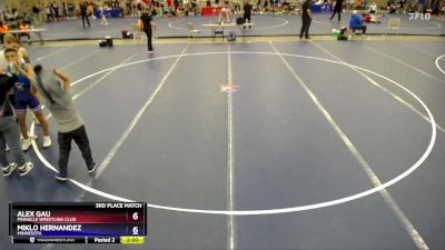 120 lbs 3rd Place Match - Alex Gau, Pinnacle Wrestling Club vs Miklo Hernandez, Minnesota