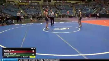 126 lbs Cons. Round 3 - Reece Taylor, Tecumseh-Shawnee Heights vs Daizy Gomez, Great Bend