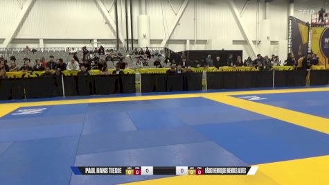 Fábio Henrique Mendes Alves vs Paul Hans Tiedje 2024 World IBJJF Jiu-Jitsu No-Gi Championship