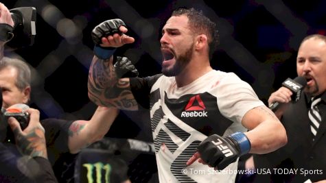 Santiago Ponzinibbio KOs Gunnar Nelson At UFC Fight Night 113