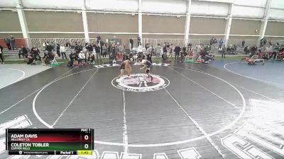 126 lbs Quarterfinal - Adam Davis, Hillcrest CA vs Coleton Tobler, Copper Hills