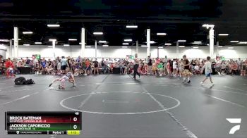 48 lbs Round 1 (8 Team) - Brock Bateman, U2 Upstate Uprising Blue vs Jackson Caporiccio, PA Alliance Blue