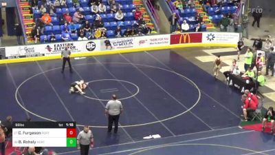 96 lbs Round Of 64 - Collin Furgeson, Port Allegany vs Brady Rohaly, North Hills