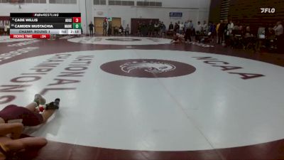 141 lbs Champ. Round 1 - Cade Willis, Augsburg vs Camden Mustachia, Minnesota State Mankato