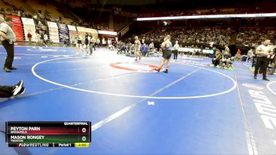 138 Class 1 lbs Quarterfinal - Peyton Parn, Brookfield vs Mason Rongey, Trenton