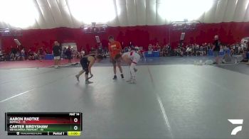 138-139 B Round 1 - Aaron Radtke, Buffalo vs Carter Birdyshaw, Weyauwega-Fremont