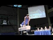 Danell Leyva - Pommel Horse - 2012 Winter Cup Finals