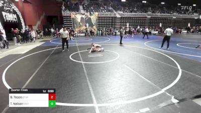 74 lbs Quarterfinal - Beck Teppo, Sturgis WC vs Teegan Nelson, Eastside United WC