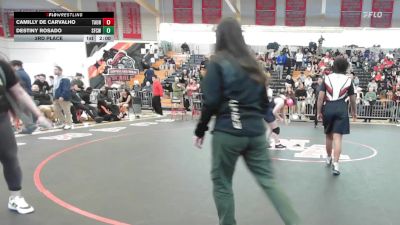 152 lbs 3rd Place - Camilly De Carvalho, Taunton vs Destiny Rosado, Springfield Central (W)