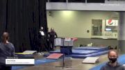 Ava Hicks - Women's Group, Swiss Turners Gymnastics Academy - 2021 Women's Xcel Region 4 Championships