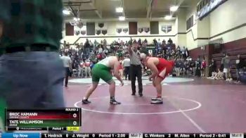 285 lbs Round 2 - Tate Williamson, Osage vs Broc Hamann, Greene County