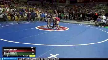 113 Class 1 lbs Cons. Round 3 - Dillan Chisam, St. Pius X (Kansas City) vs Cooper Berry, Maysville