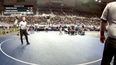 113-D4 1st Place Match - Gavin Palace, Payson High School vs Erick Galindo, Blue Ridge High School