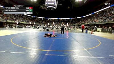 66 lbs Quarterfinal - Peyton Godshall, Wissahickon vs Emelia Skultety, Marion Center