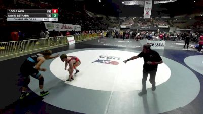 165 lbs Champ. Rd Of 16 - David Estrada, The Laboratory (Wrestling Club) vs Cole Akin, Cardinal Wrestling Club