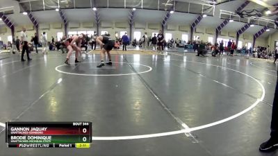 157 lbs Cons. Round 5 - Gannon Jaquay, Unattached-Edinboro vs Brodie Dominique, Unattached-Michigan State