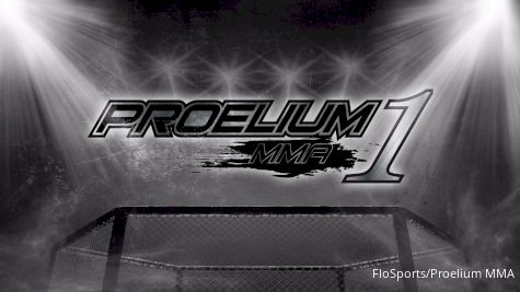 2017 Proelium MMA 1