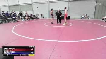 165 lbs Placement Matches (8 Team) - Cade Parent, Georgia vs Blaise Meeks, Tennessee