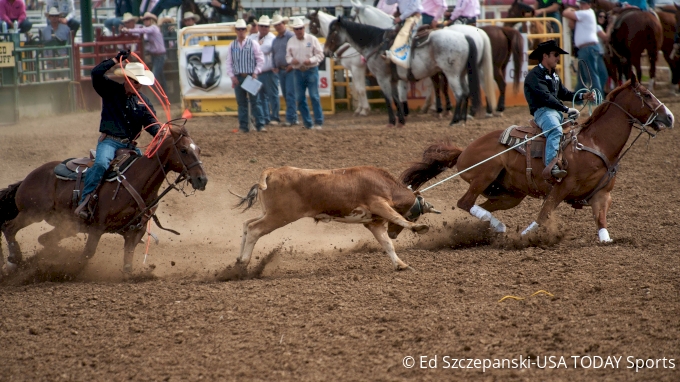 cowboy roping toy